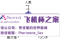 男性情趣用品