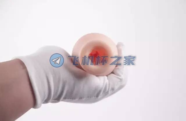 EXE奶瓶二代柔软版动漫款飞机杯评测(图14)