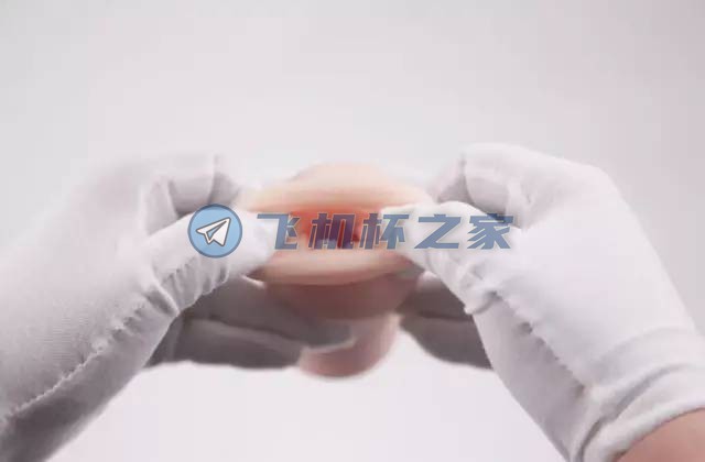 EXE奶瓶二代柔软版动漫款飞机杯评测(图15)