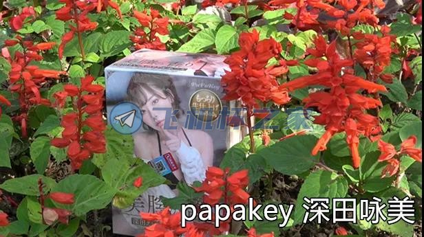 深田咏美4款飞机杯横向对比评测(图3)
