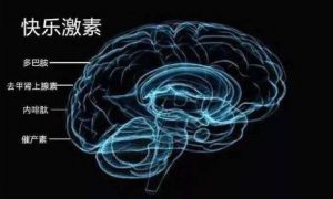 男性情趣用品